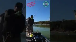 Double Boat Flip #shorts