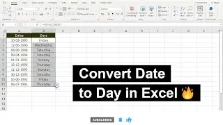 Formula To Extract Day Name From Date In Excel | Excel Tips For Beginners | Excel Tutorial 2022