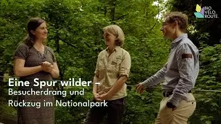 Eine Spur wilder – Besucherdrang und Rückzug im Nationalpark (DE)
