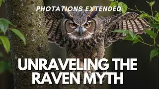 Unraveling the Raven Myth: An In-Depth Analysis of Eskimo Folklore from the Bering Straits