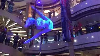Female Sexy Elegant Pole Act Circus Acrobatics Entertainment Variety Show