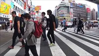 Cycling from Mejiro to Roppongi return on 30.9.2017
