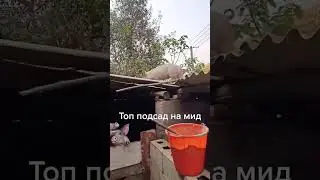 одобряю#csgo #csgomirage #memes