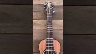 Mine viola caipira, menor viola do Brasil