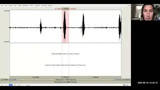 Cutting and saving audio files in Praat.