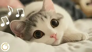 Cozy Cat Ambient Music - 12 ЧАСОВ глубокой успокаивающей музыки 🐱✨