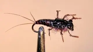 NYMPH  ,,CALLIBAETIS,,  variant  3  SVA
