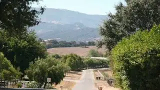 Limousine Service LAX Airport to Santa Barbara, LAX Limo Service 310-606-0182