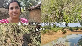 ମାଁ ଘର ଖେତକେ ଜିମା ଚାଟି ଶାଗ ତୁଳିମା