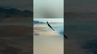 B2 Spirit Bomber