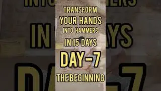 Iron Hand Challenge:&nbsp; Day 7 Journey 🧱 | लोहे जैसा हाथ कैसे बनाएं? #skills thrive #shorts #fitnesh