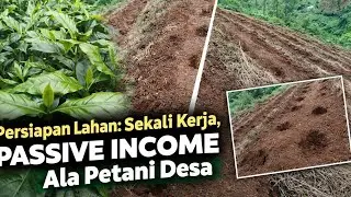 PERSIAPAN LAHAN KOPI YANG BENAR PONDASI PASSIVE INCOME ALA PETANI DESA