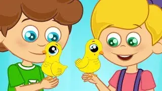 O Pintinho Piu | musica infantil com os Amiguinhos