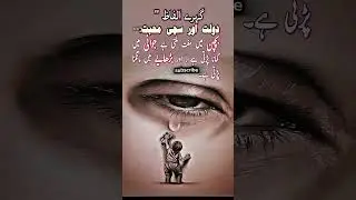 deep words || Hazrat Ali (R.A) Quotes in Urdu | Life Changing Islamic Quotes #islamicquotes #ahorts