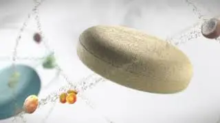 Pollogen - Geneo New Oxypods