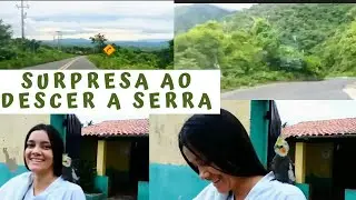 Na descida da serra de Ibiapina encontramos uma calopsita 🐦