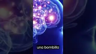 💡El incre&iacute;ble poder oculto de tu cerebro 💡