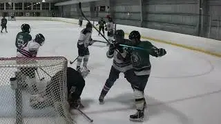 The Blind Armadillos vs Moose