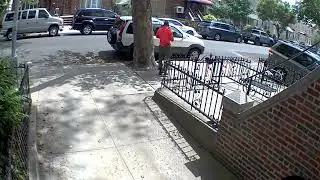 There Must be Something About The Tree