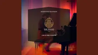 Moonlit Melodies at the Palm Oasis