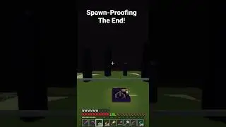 Spawn Proofing The End Dimension #shorts