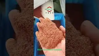 Fully Automatic BS-D20 Scrap Cable Chopper Machine For Wire Recycling #wirechopper    #copperchopper