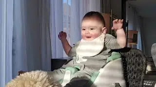 Baby talk babbling 11 months sitting on Ingenuity chair  #infant #relaxing #cutebaby #babyvideos