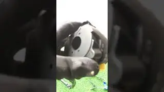 Nelson's LED YAMAHA NMAX Domino switch
