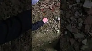 Abandoned factory exploration
