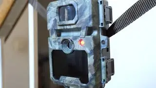This Trail Camera Will Capture It
