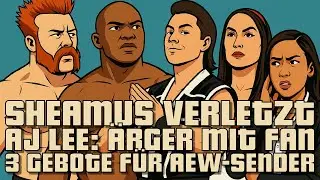 Sheamus verletzt, AJ Lee hat Ärger mit Fan, Brie Bella will zurück, Dynamite-Abstimmungsproblem