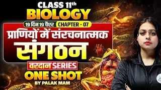 Class 11 Biology Chapter 7 | प्राणियों में संरचनात्मक संगठन One shot | Bihar Board Exam 2026