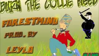 Burn the collie weed - Forestmind meets Leylo - jan 2015
