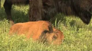 Salina Kansas Tourism Video