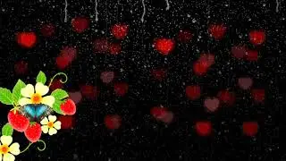 Flying Heart Black Screen // Heart Video Templet // Heart Video Background // Video Editing Zone