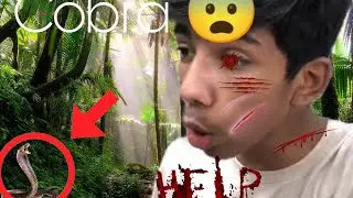 I saw a real Cobra 😨 |Help |Horror House 🏠 gy |Ab Kiya ho ga