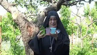3. Tempo di semina, tempo di speranza - a cura di Madre Madre Katharina Muller | Diocesi del Piceno