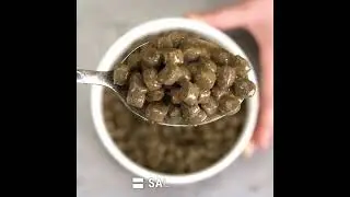 BELCANDO  Efecto Salsa