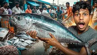 Chennai's largest fish market 🤯( Saidapet)