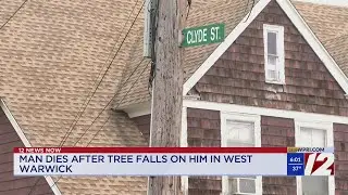 Man dies after being crushed by tree in West Warwick