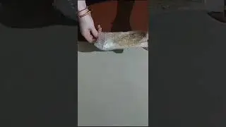 Gold #set #jewellery #from #meesho #shorts #video #viral