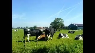 Holl di Munter - Boßelvereen (Bi-Ba-Boßelverein)
