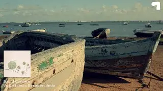 David Cordero | La distancia desapercibida