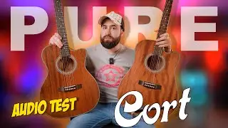 Cort Pure Acoustic Guitars Dreadnought or OM style?