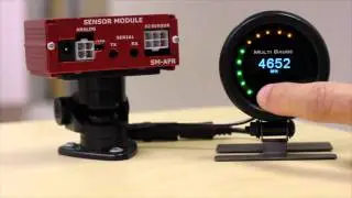 PLX DM-6 Multi Gauge