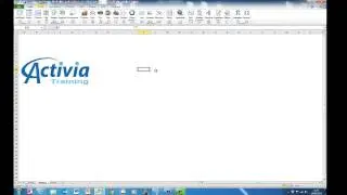 Using the ALT key in Excel