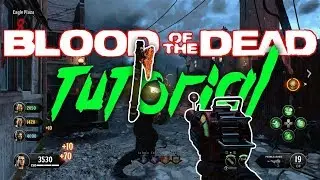 GUIDA SCUDO, PAP, TOMAHAWK BLOOD OF THE DEAD [BO4 ZOMBIE TUTORIAL ITA]