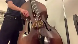 La Bella Supernil bass strings