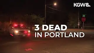 3 people killed in 3 separate crashes Wednesday night in Portland