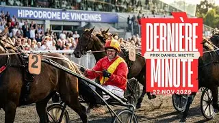 S&eacute;lection CHEVAUX de Derni&egrave;re minute du quint&eacute; 22 Novembre #quint&eacute; #attel&eacute; #trot #vincennes #tocard